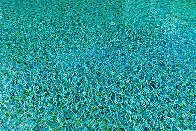 传《刺客信条：RED》11月推出 首个演示预告7月公布